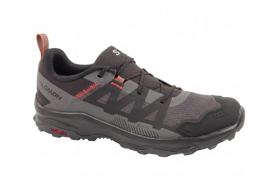 SALOMON picture