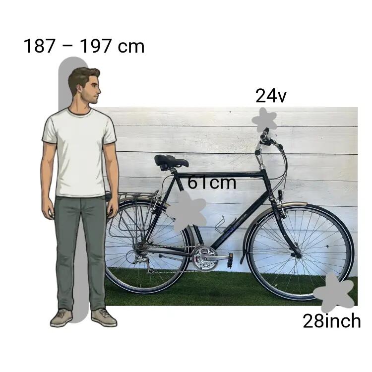 Bicicletta usata Koga Miyata 2/4