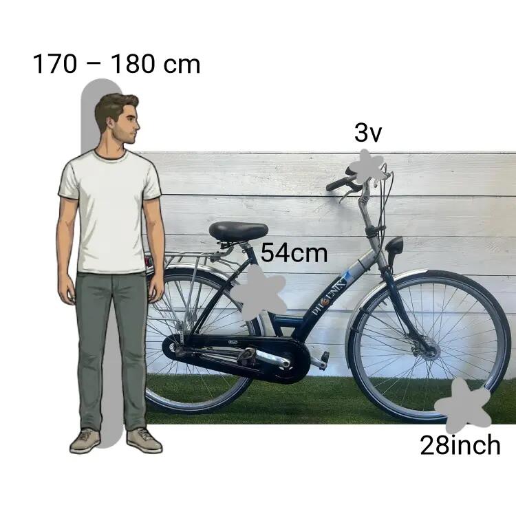 Bicicletta usata Phonex 2/4