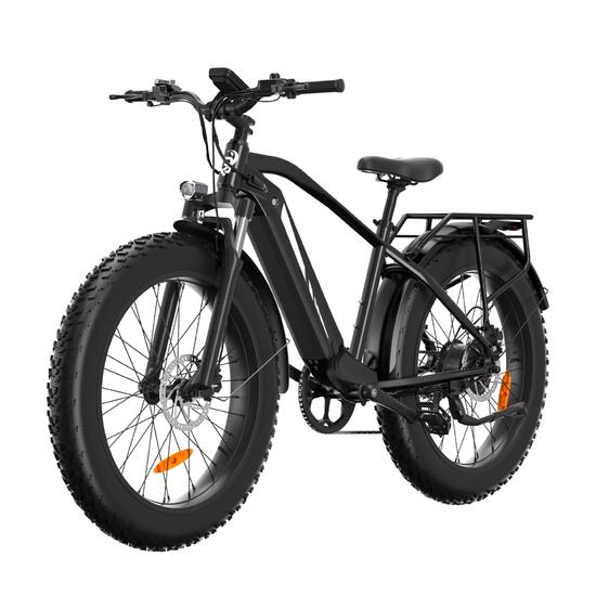 Elektrische fiets voor volwassenen Bodywel D6, 48V 15Ah-accu, 250W-motor