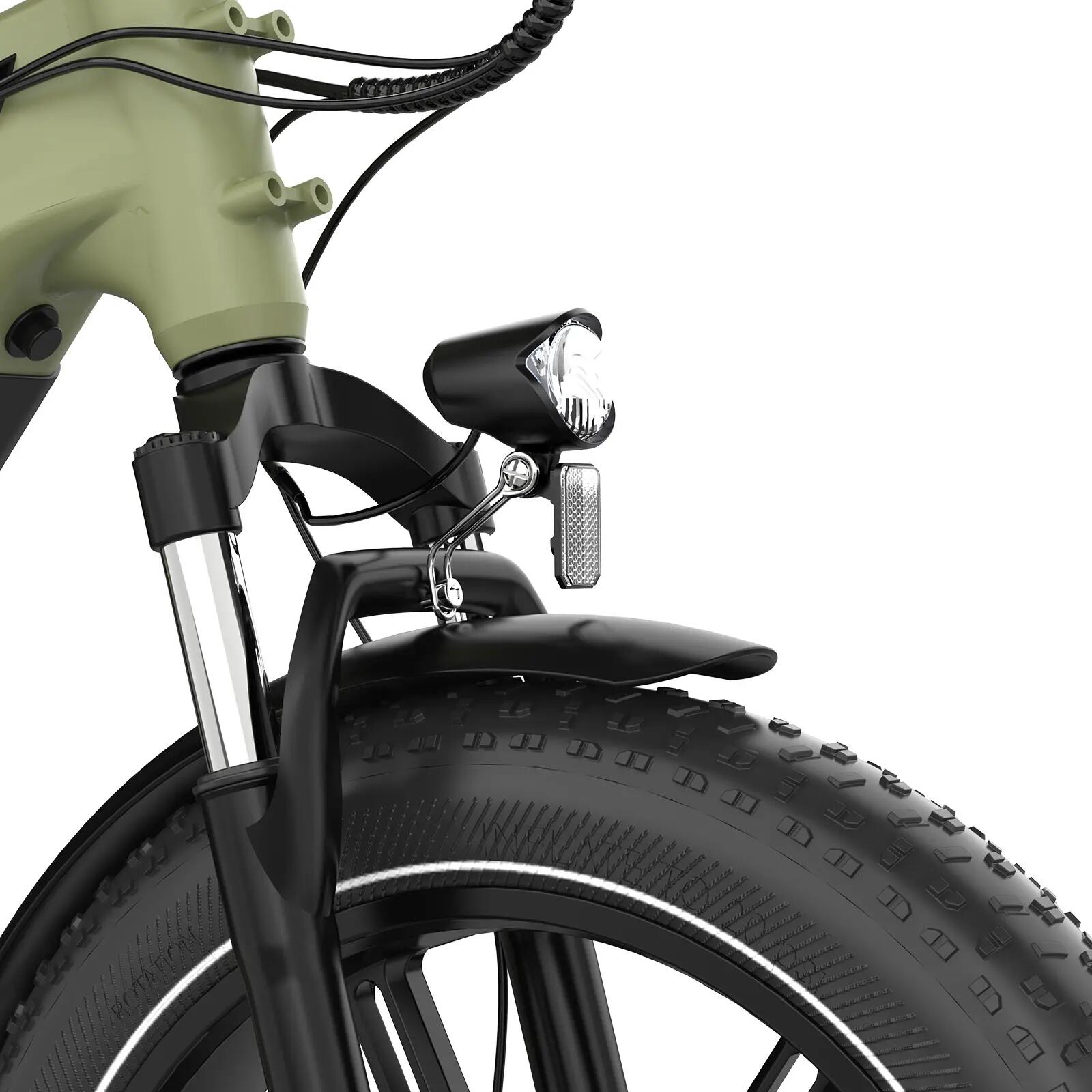 E-Bike Fatbike 20 Zoll, Tiefeinsteiger Elektrofahrrad, City E-Bike, 7-Gang,R6 8/9
