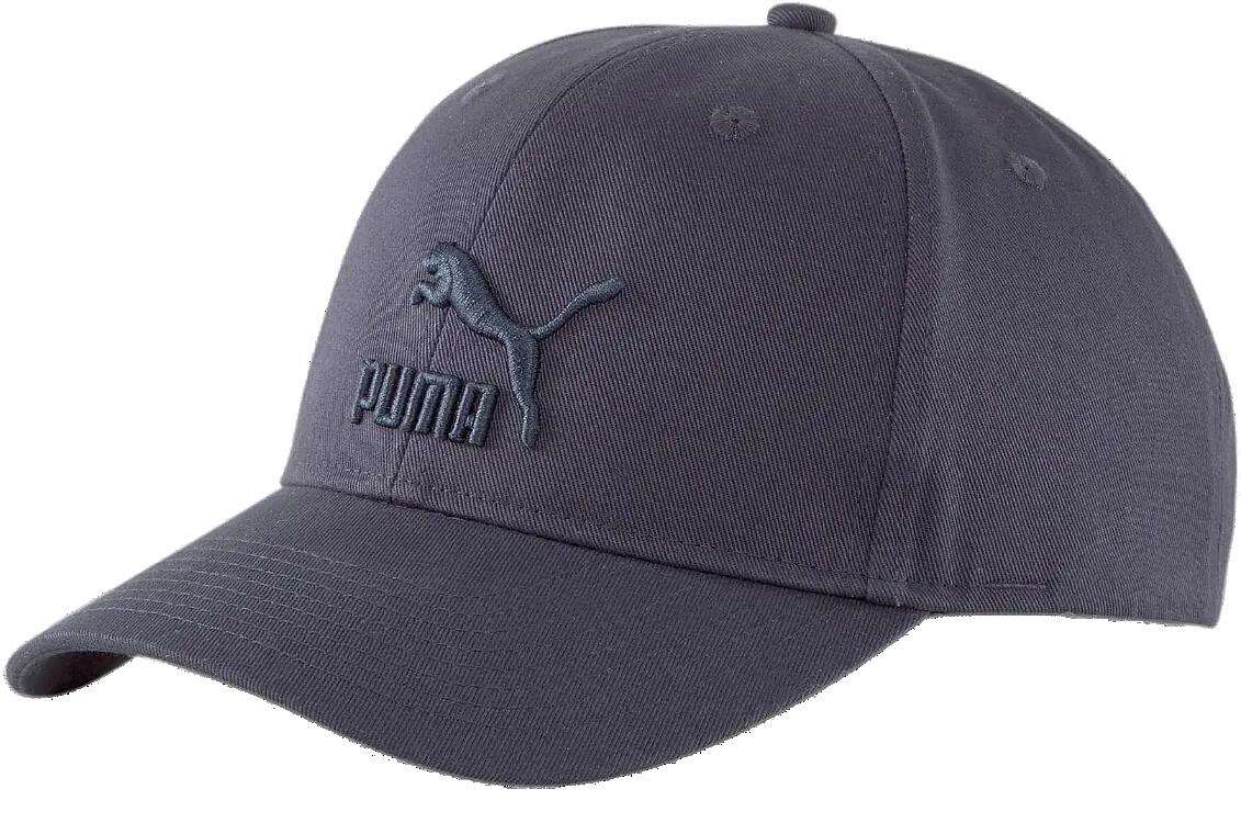 PUMA picture