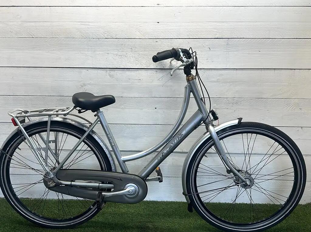 BATAVUS picture