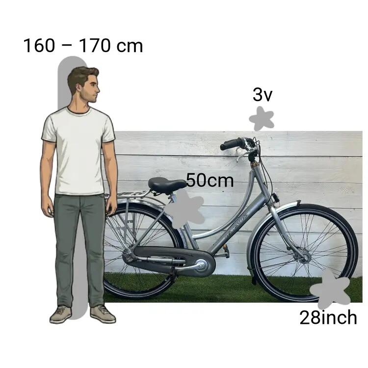 Bicicletta usata Batavus Diva 2/4