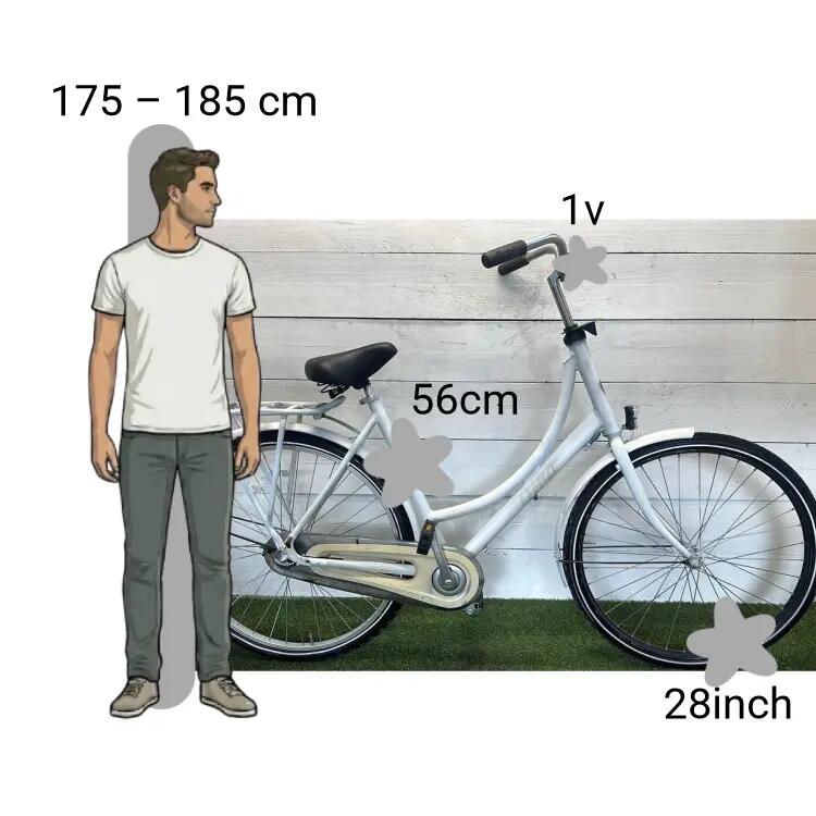 Bicicleta usada Batavus Diva 2/4
