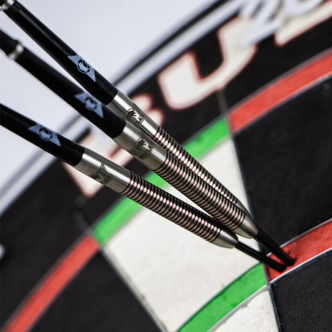 Chris Landman 90% Tungsten Dartpijlen 7/7