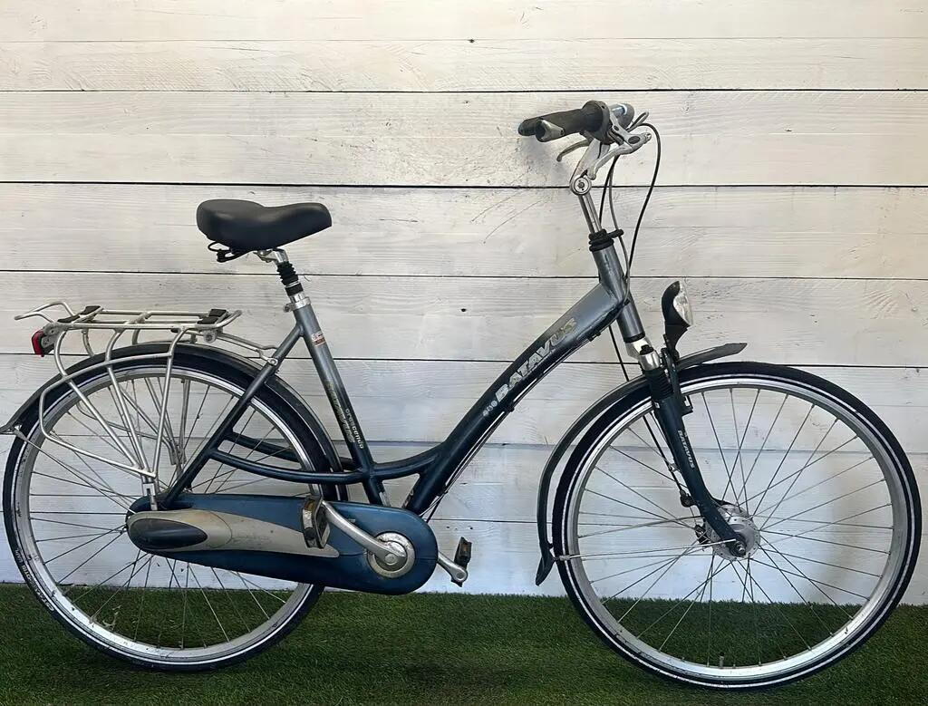 BATAVUS picture