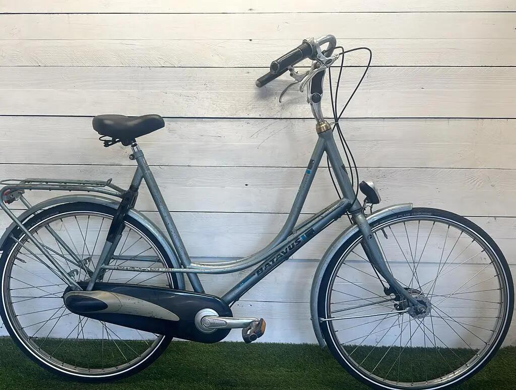 BATAVUS picture
