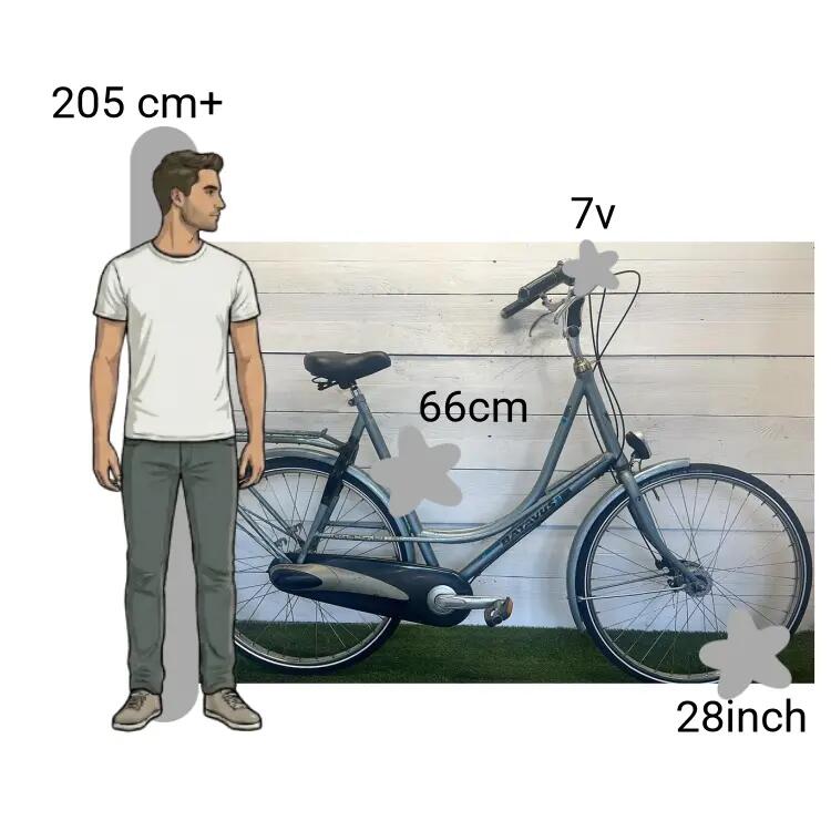 Bicicleta usada Batavus Stabilo XXXL FRAME 2/4