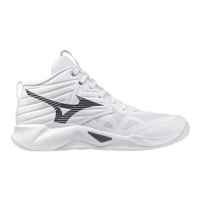 Indoor schoenen mizuno wave momentum pro mid
