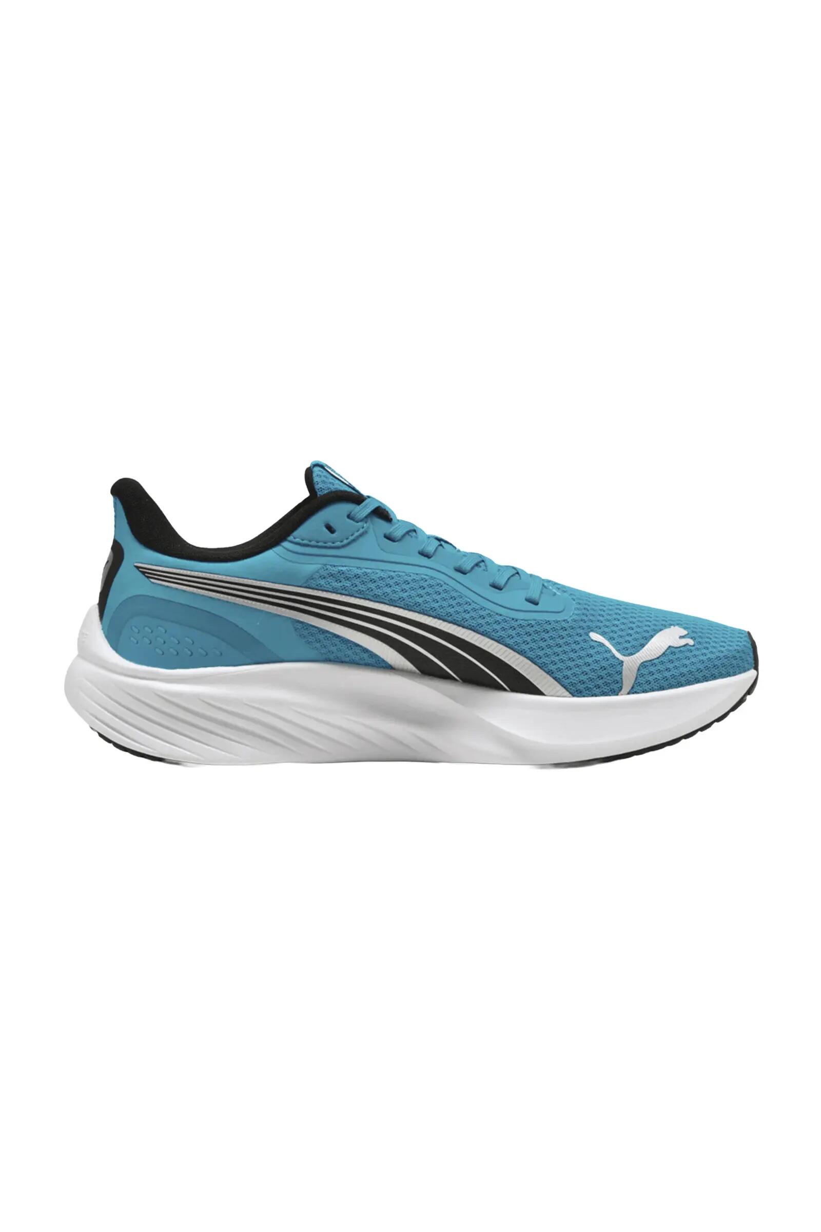 PUMA picture