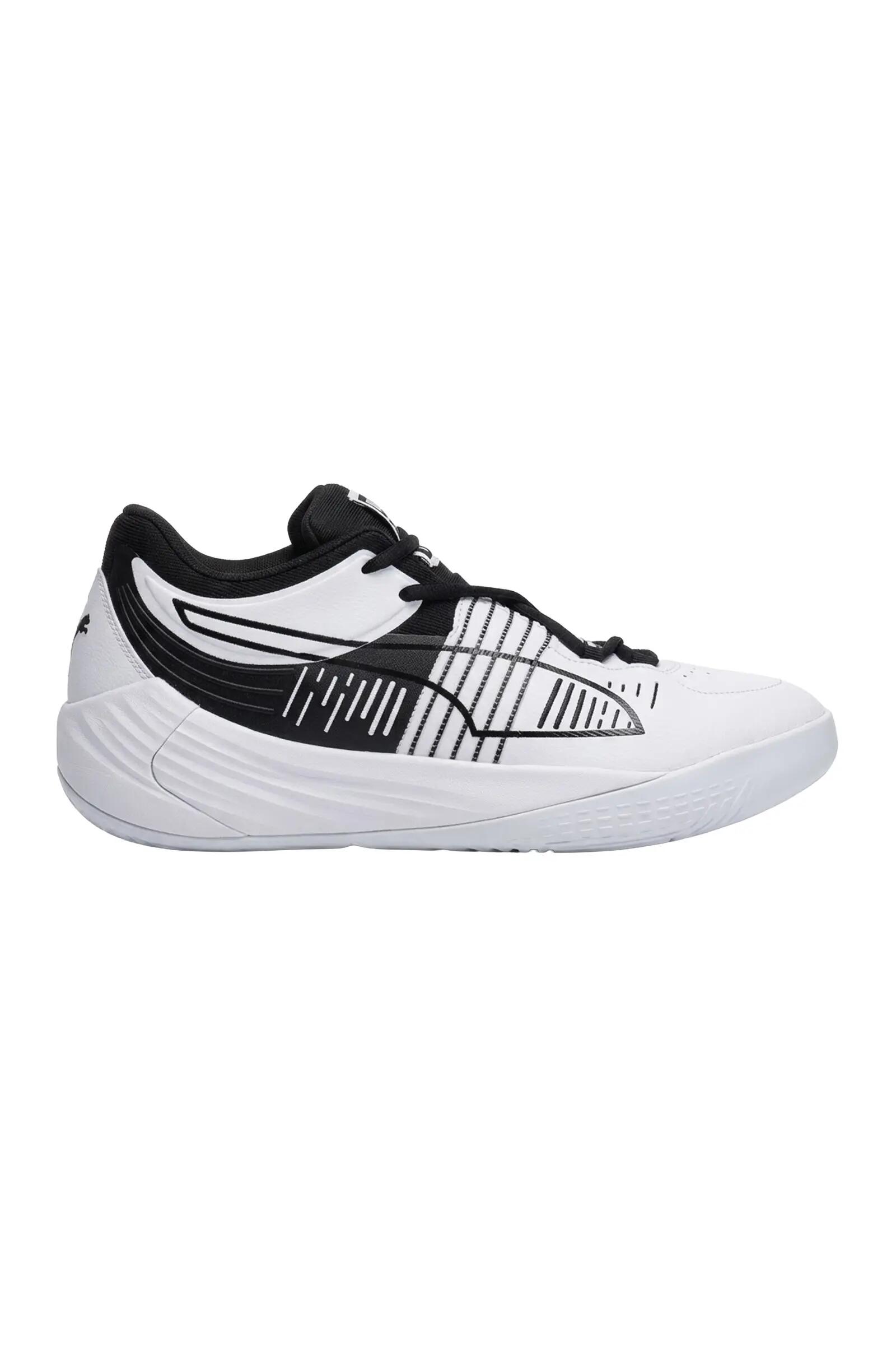PUMA picture