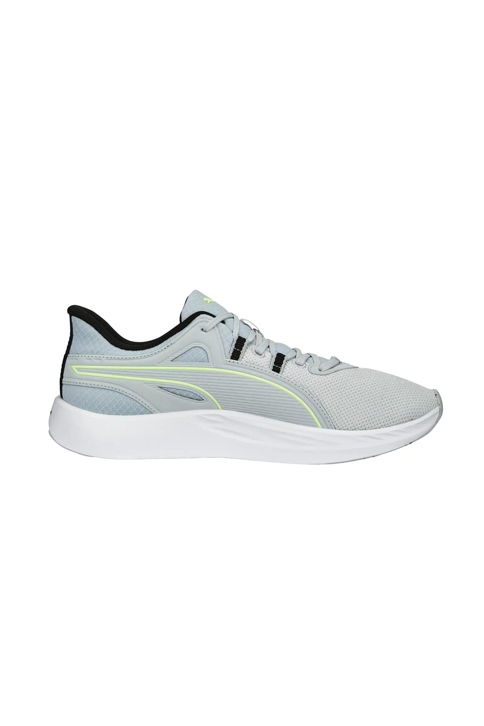 PUMA picture