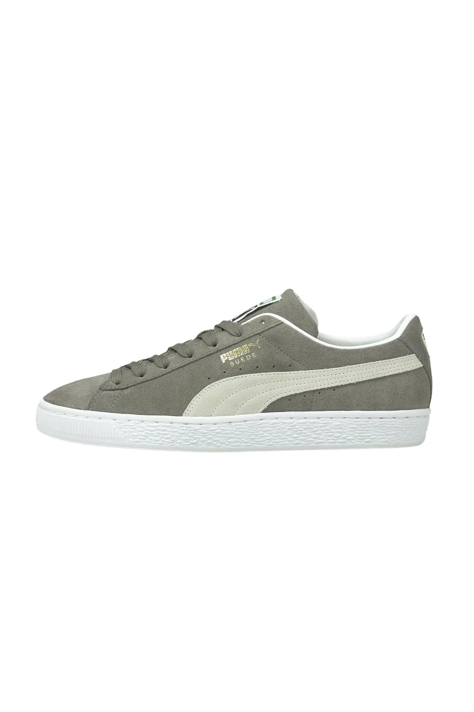 PUMA picture