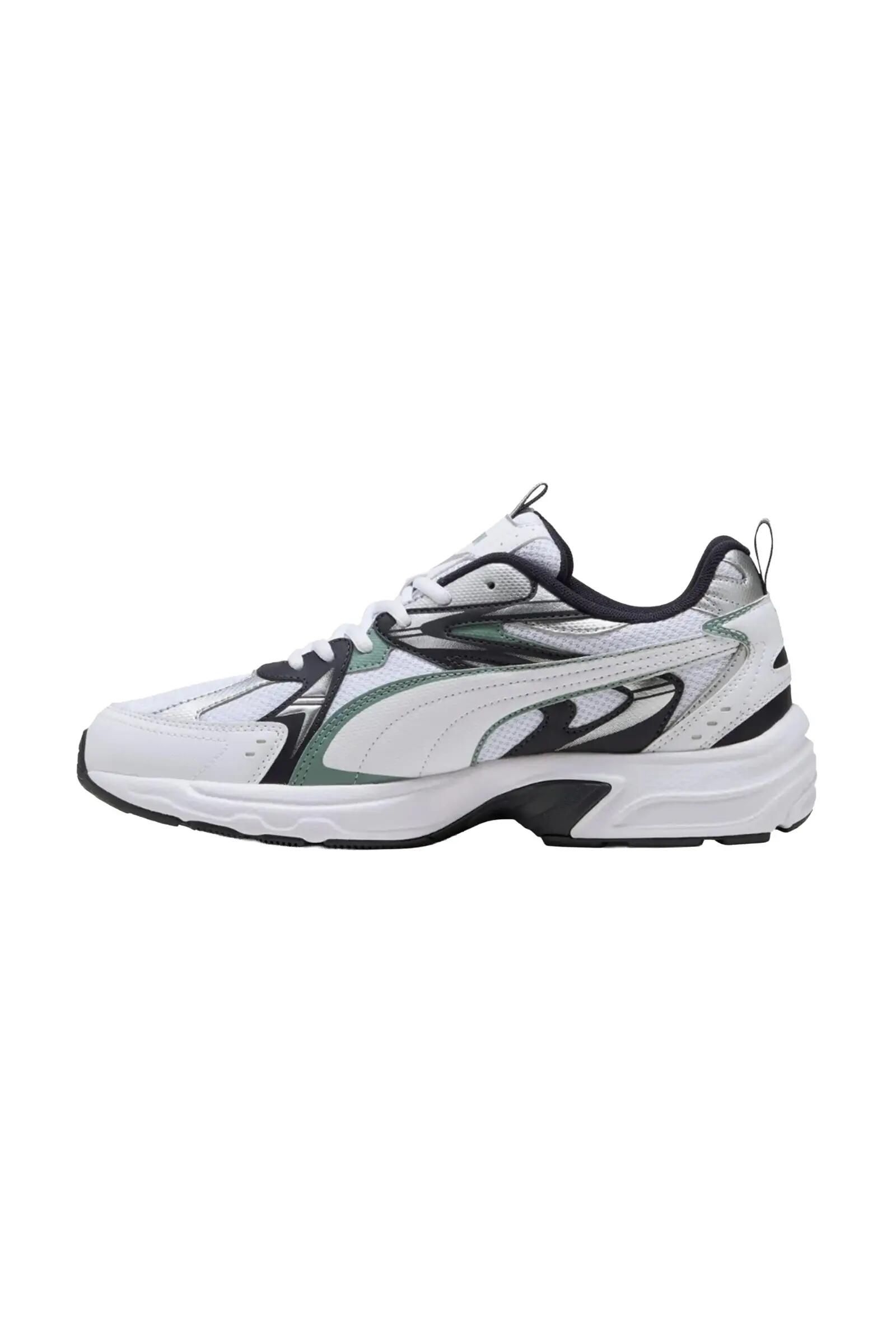 PUMA picture
