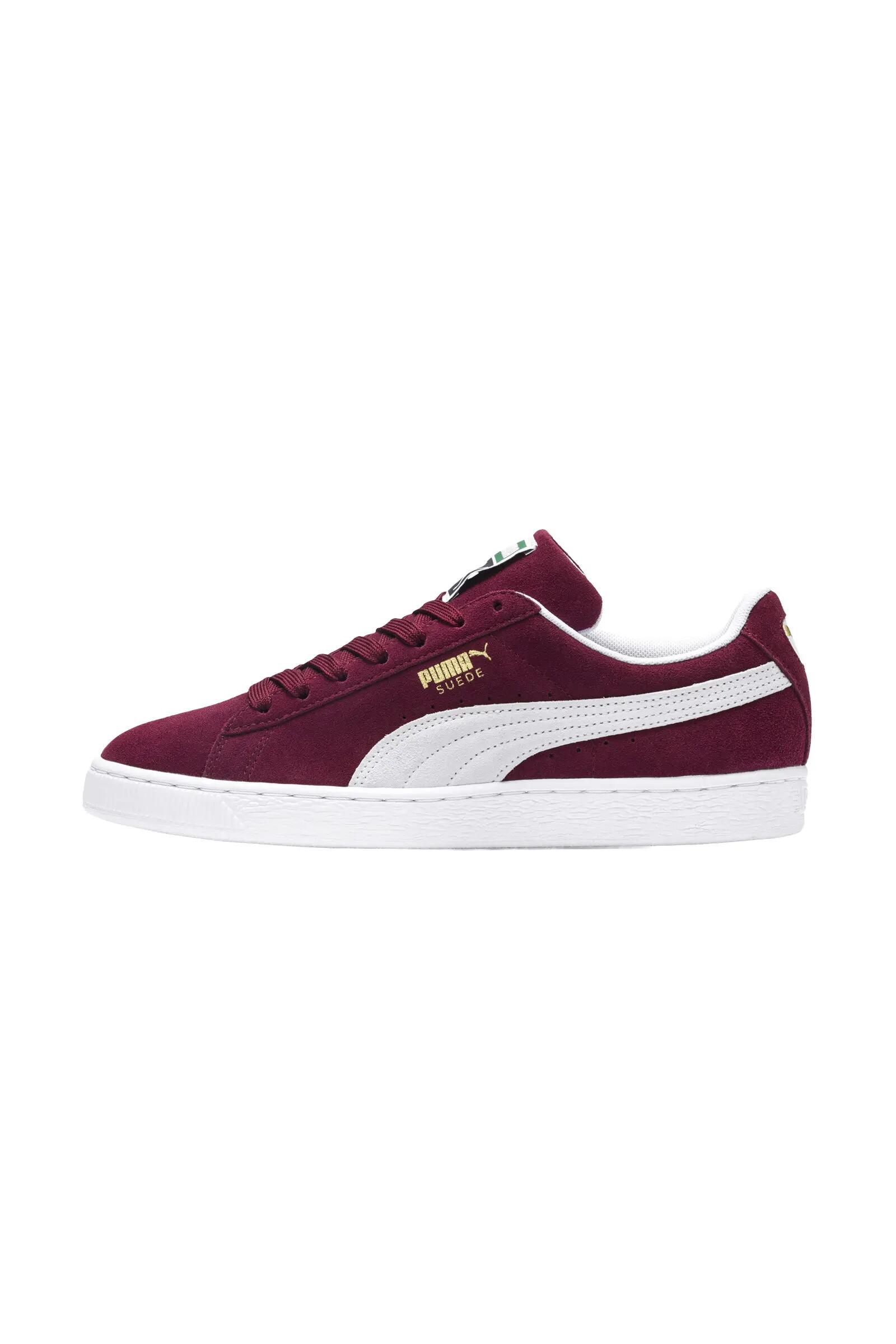 PUMA picture