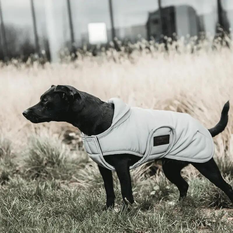 Casaco para cão refletor e impermeável com aba ventral Kentucky 150g 2/2