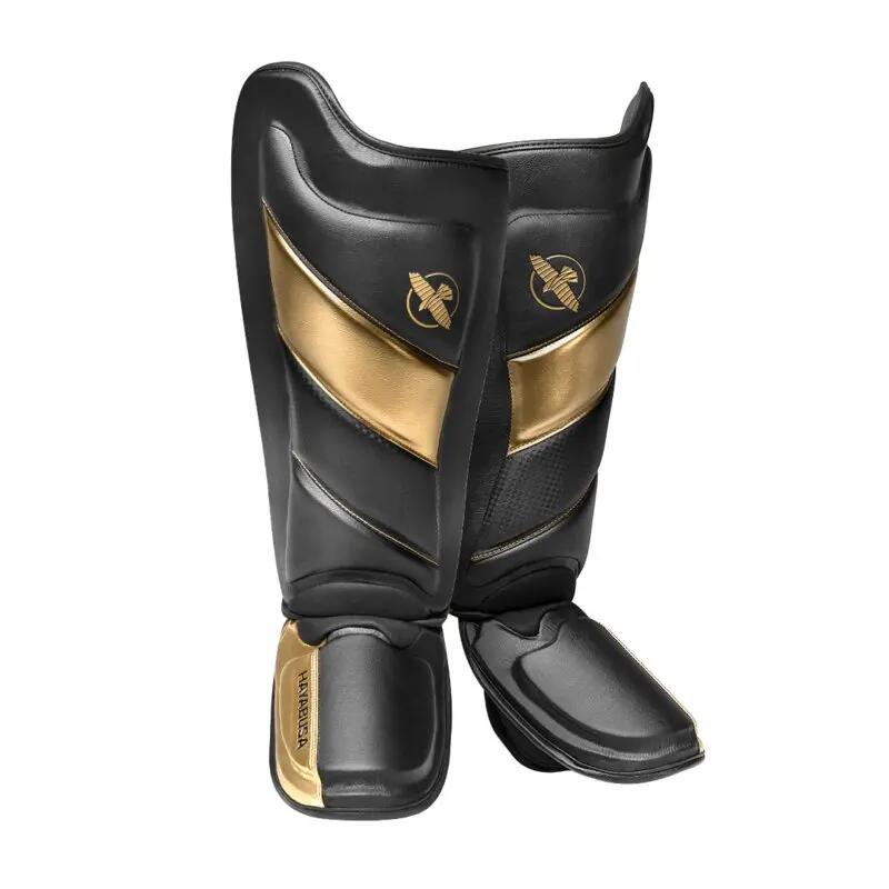 HAYABUSA picture