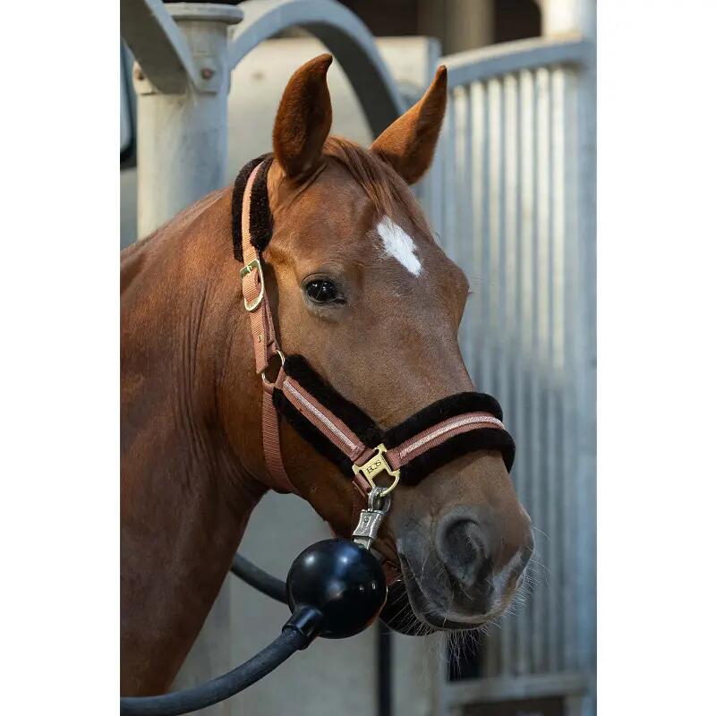 Harry's Horse Halsterset Soft - Mocha Bisque (Full) 3/3