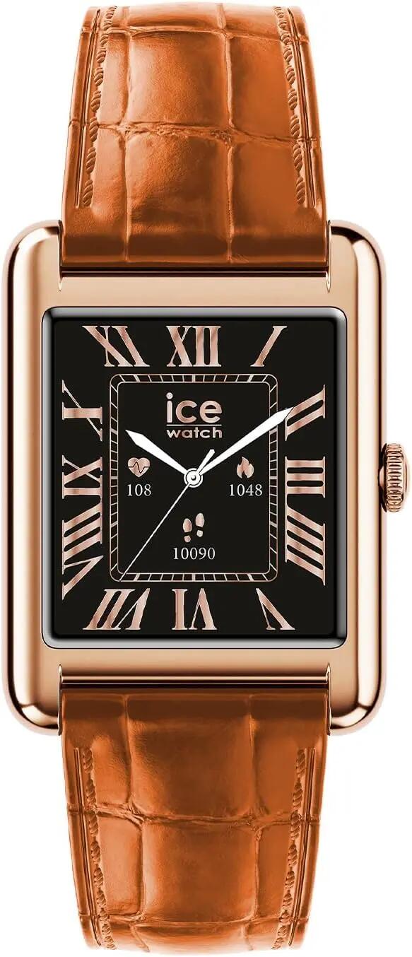ICE WATCH picture
