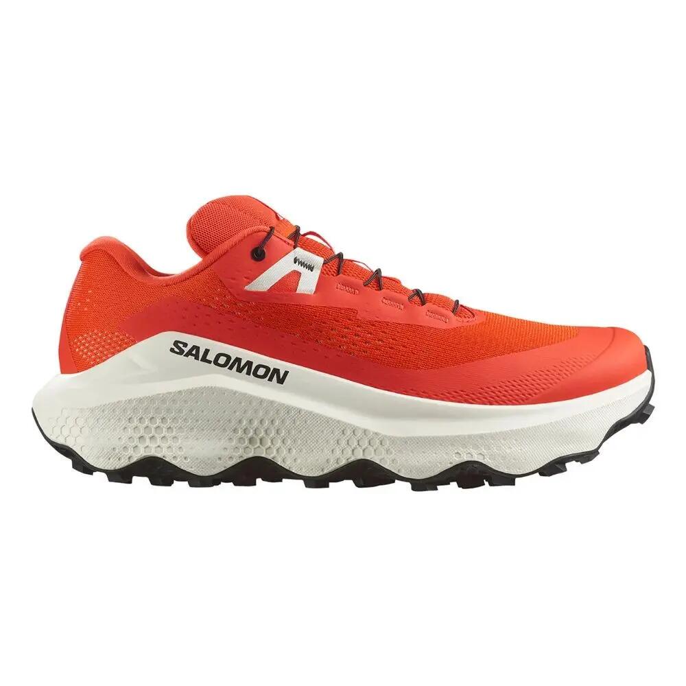 SALOMON picture