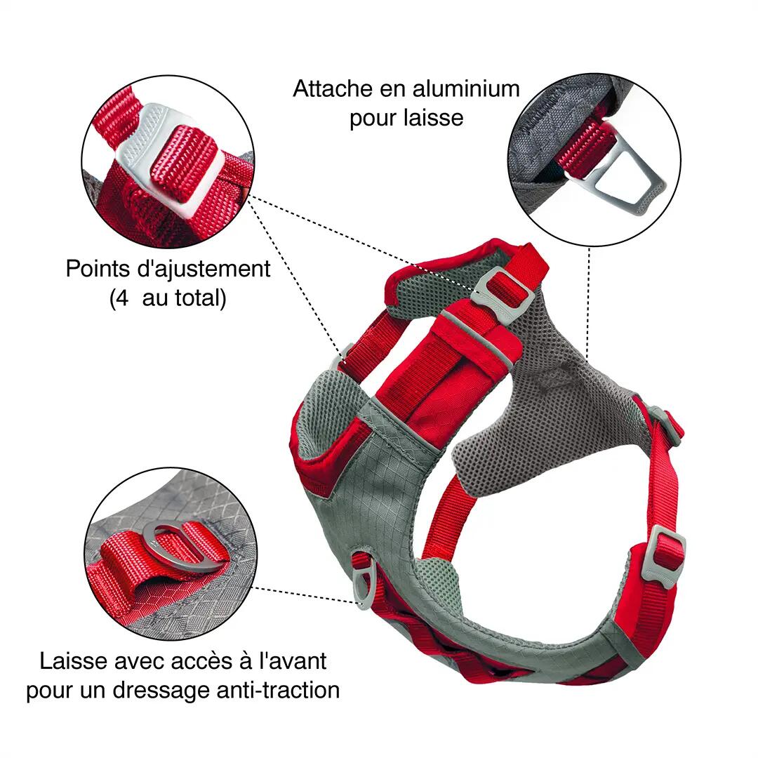 Harnais chien - course et rando - mixte - journey air - rouge 4/5