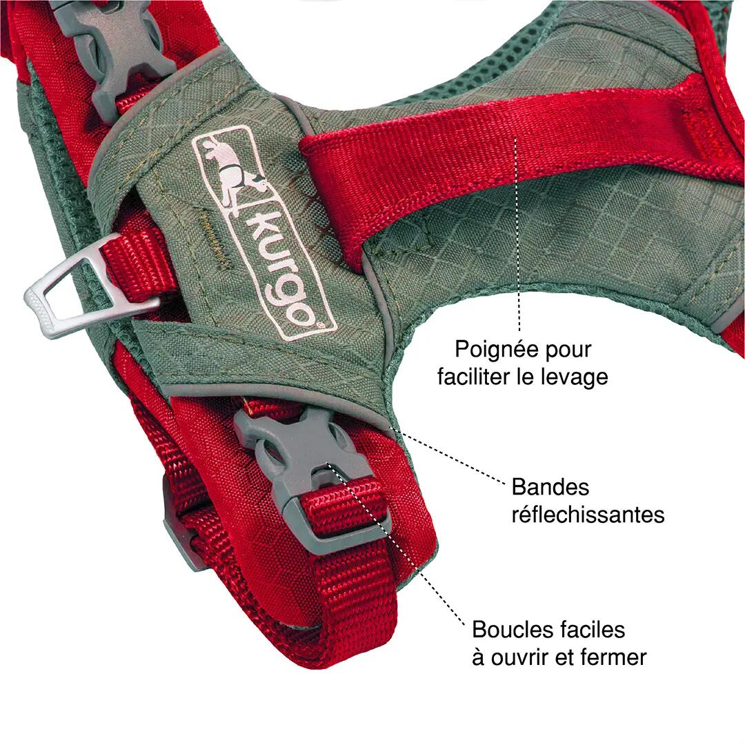 Harnais chien - course et rando - mixte - journey air - rouge 3/5