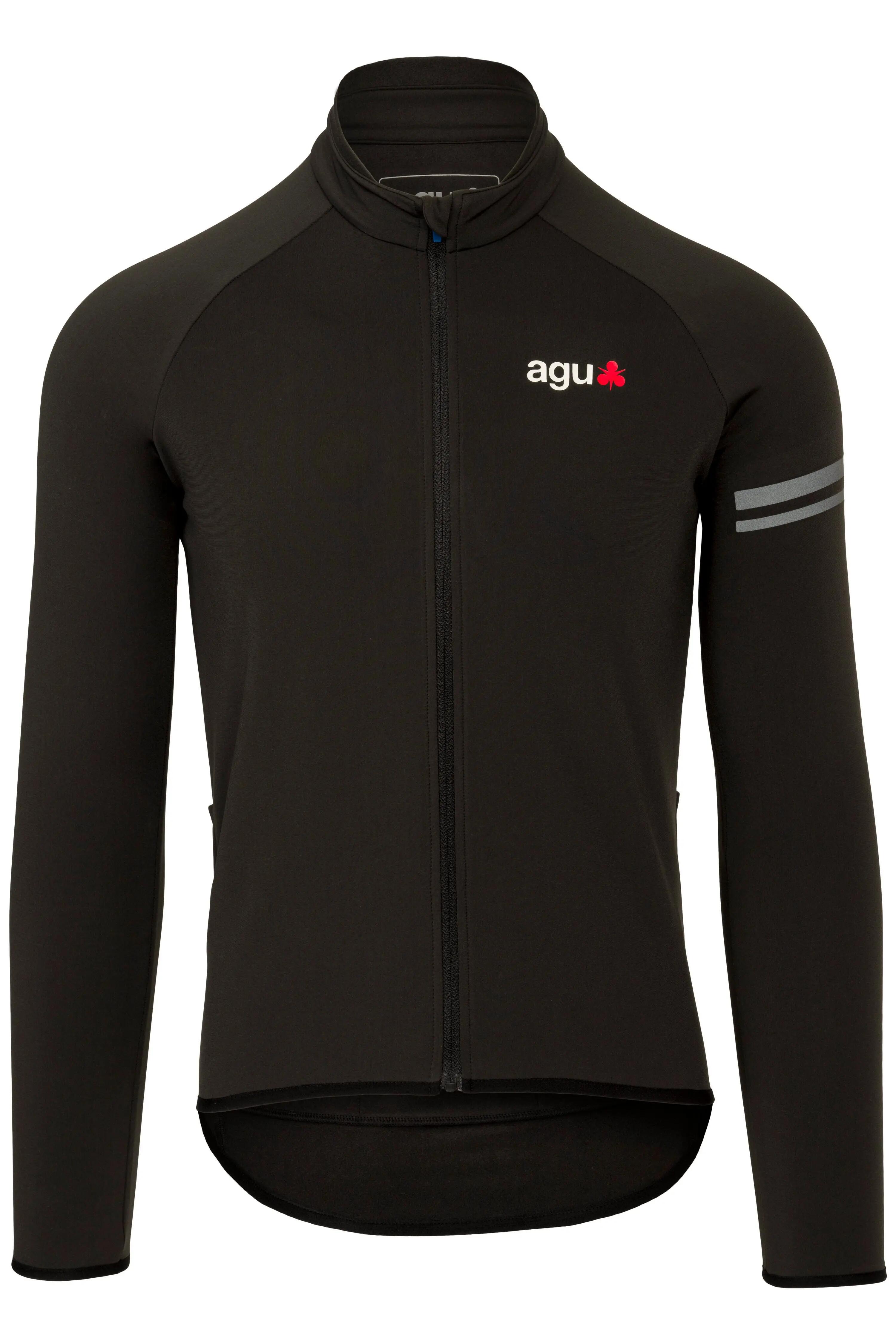 AGU picture