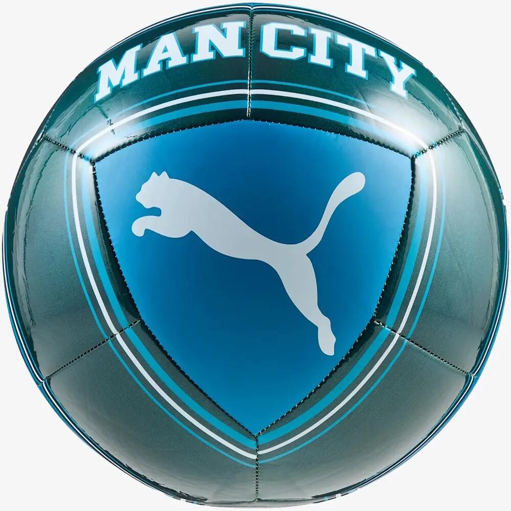 PUMA picture