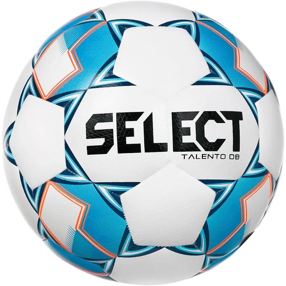 SELECT picture