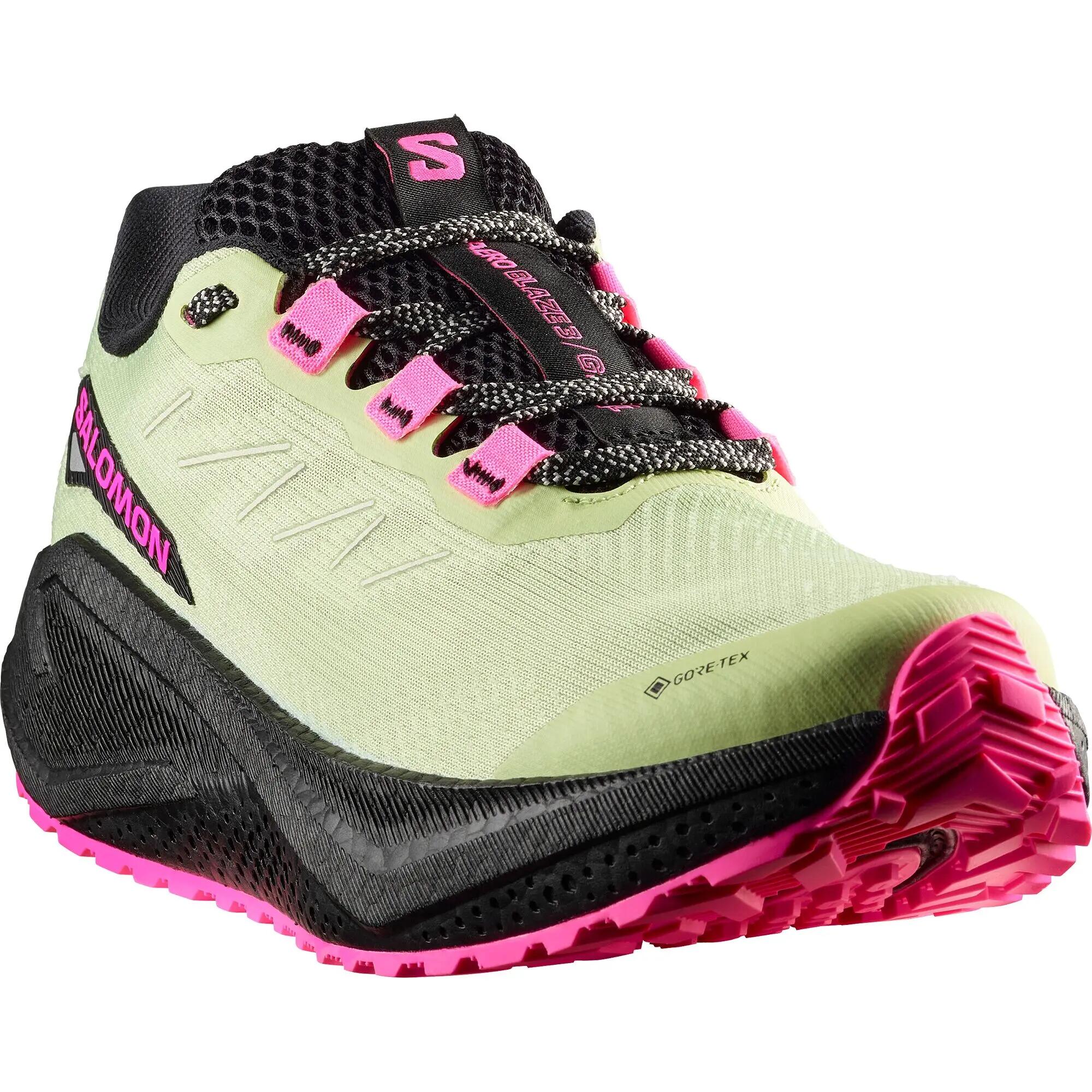 SALOMON picture