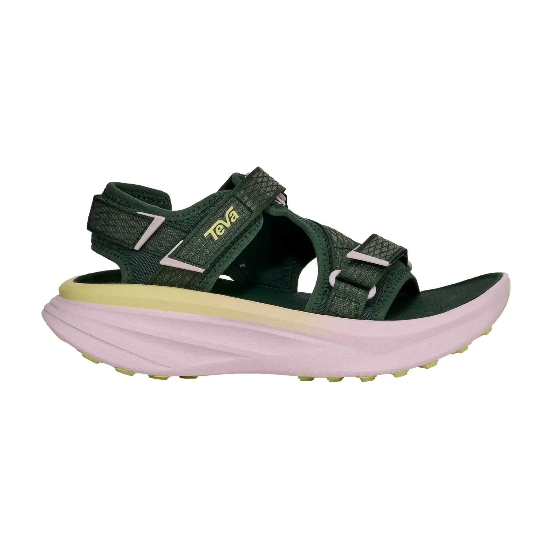 TEVA picture
