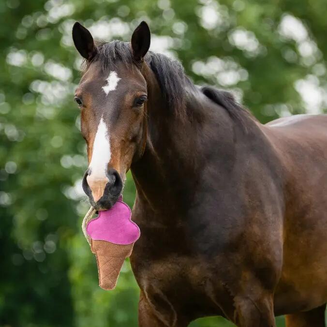 Horse toys QHP Snackcounter