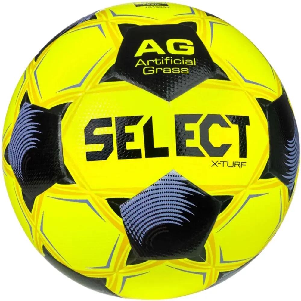 SELECT picture