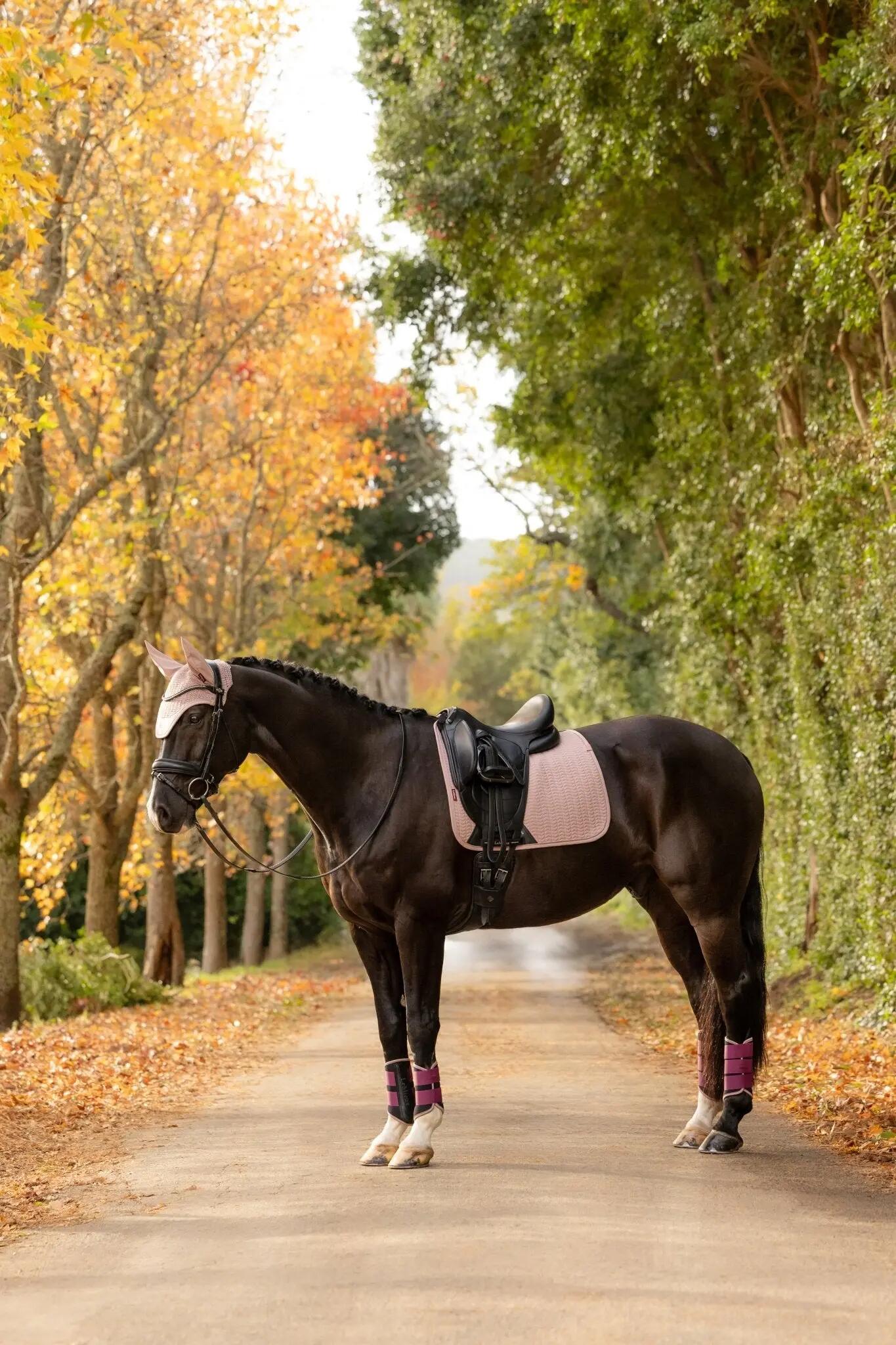 Lemieux Essence Zadeldek Aw26 Wild Rose - 5/7