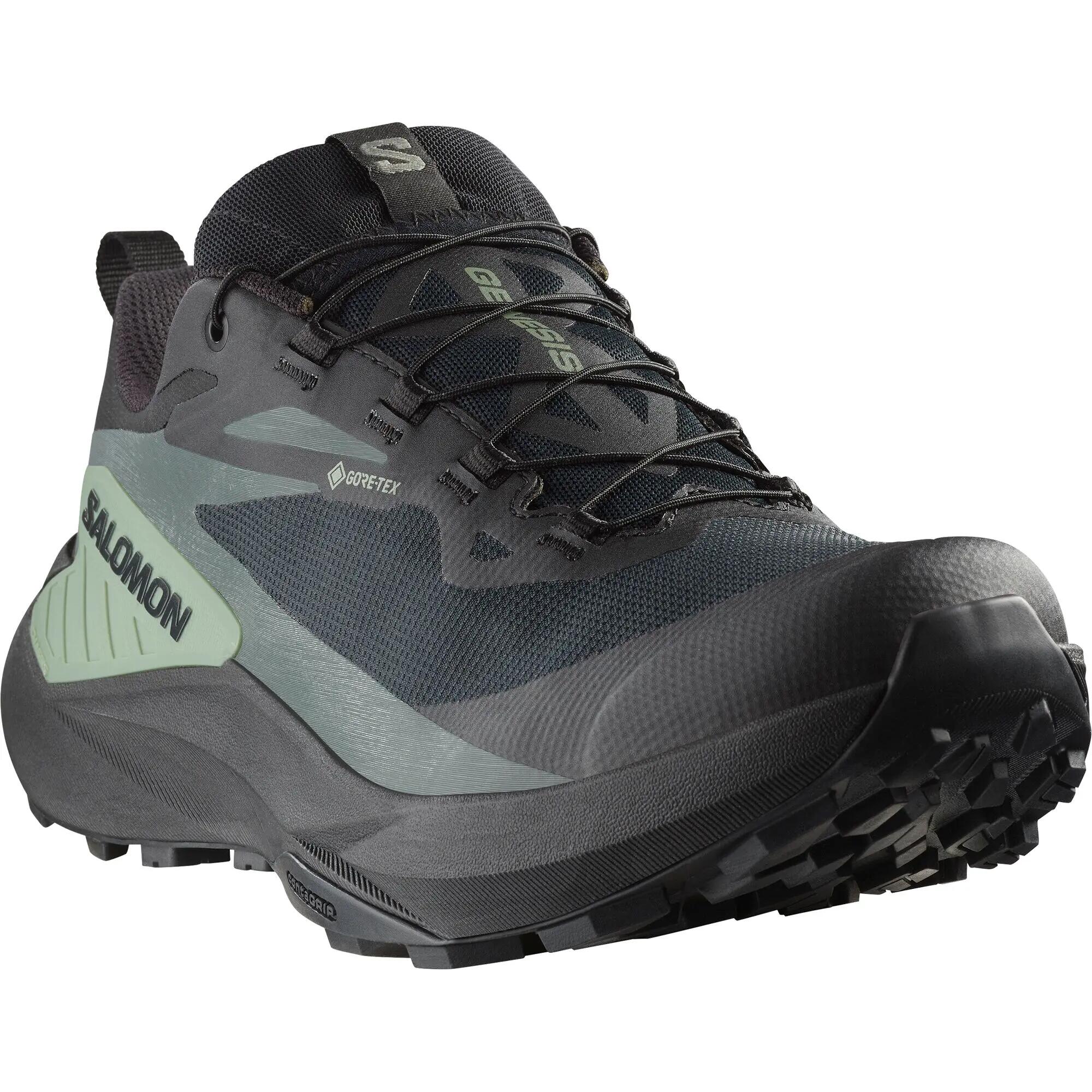SALOMON picture