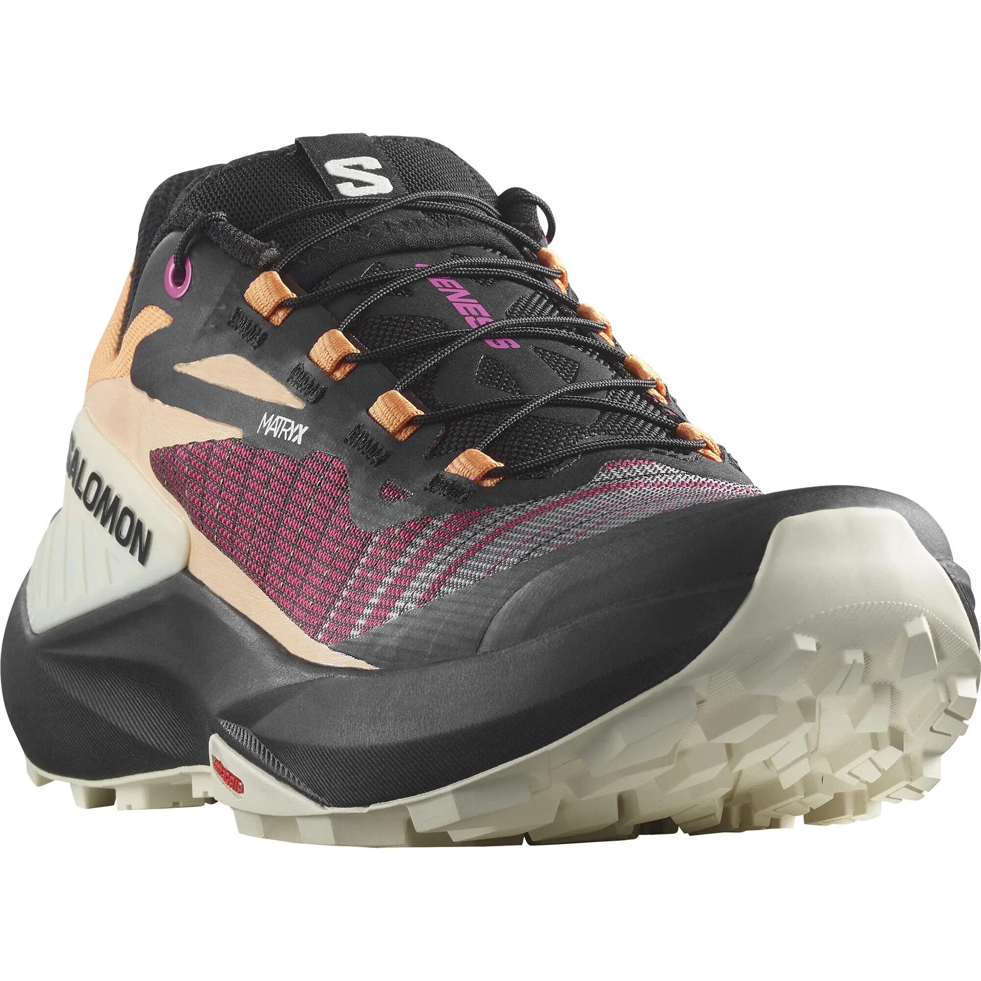 SALOMON picture