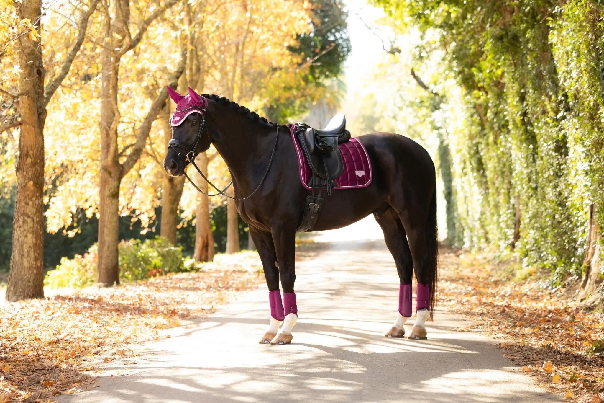 Lemieux Loire Classic Zadeldek Aw26 Gooseberry - 4/7