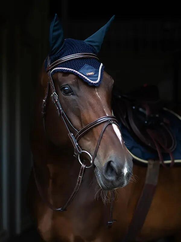 EQUESTRIAN STOCKHOLM picture