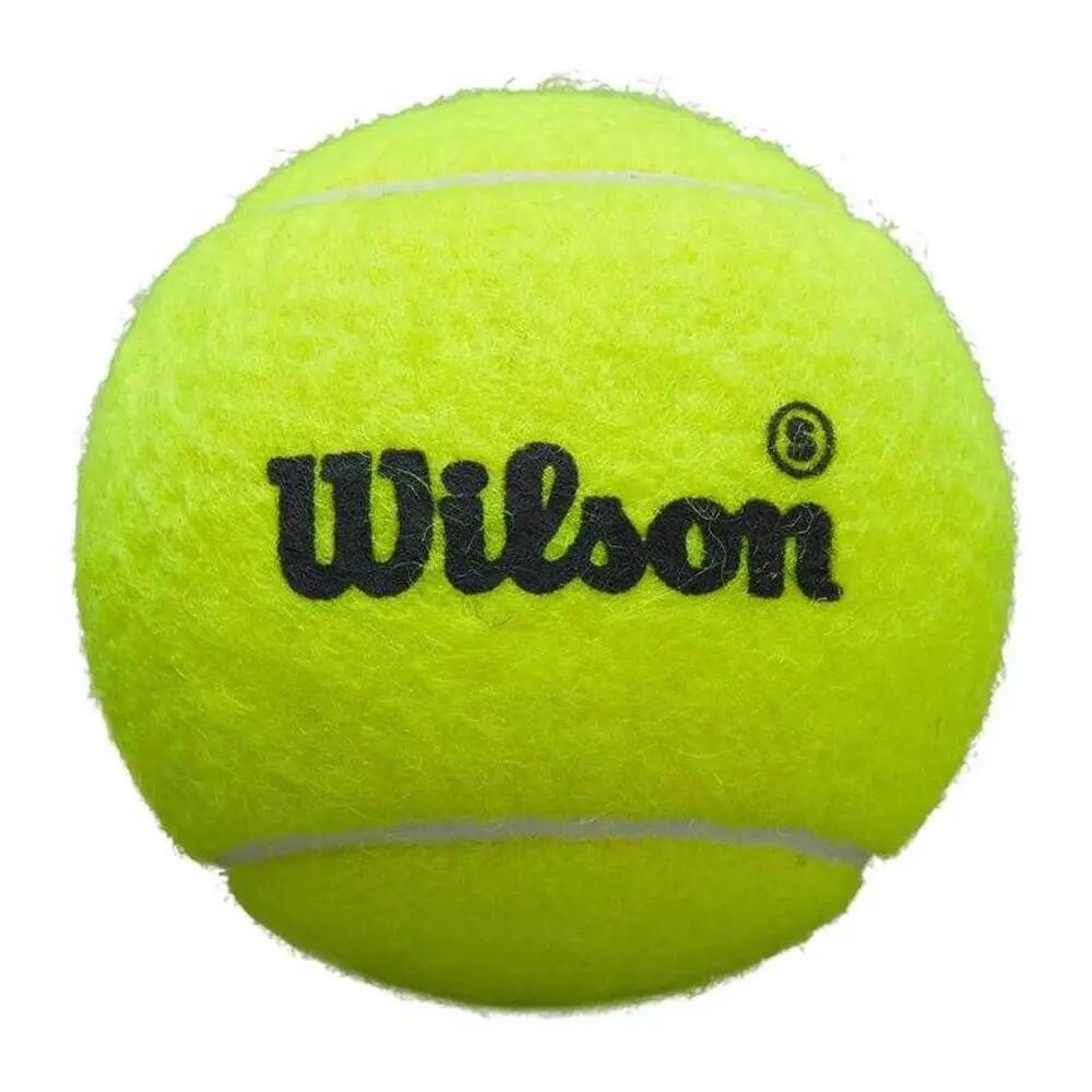 WILSON picture