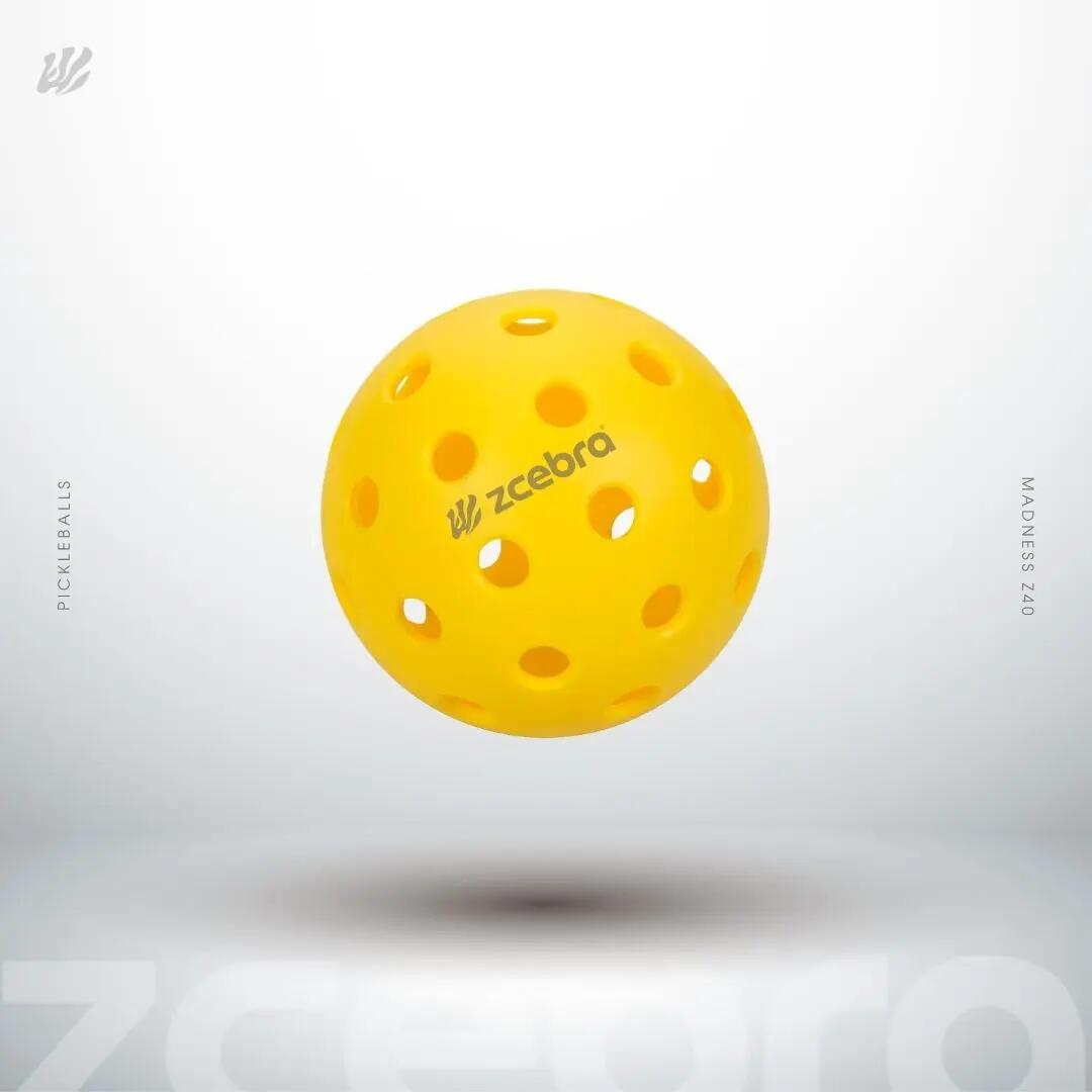 ZCEBRA picture