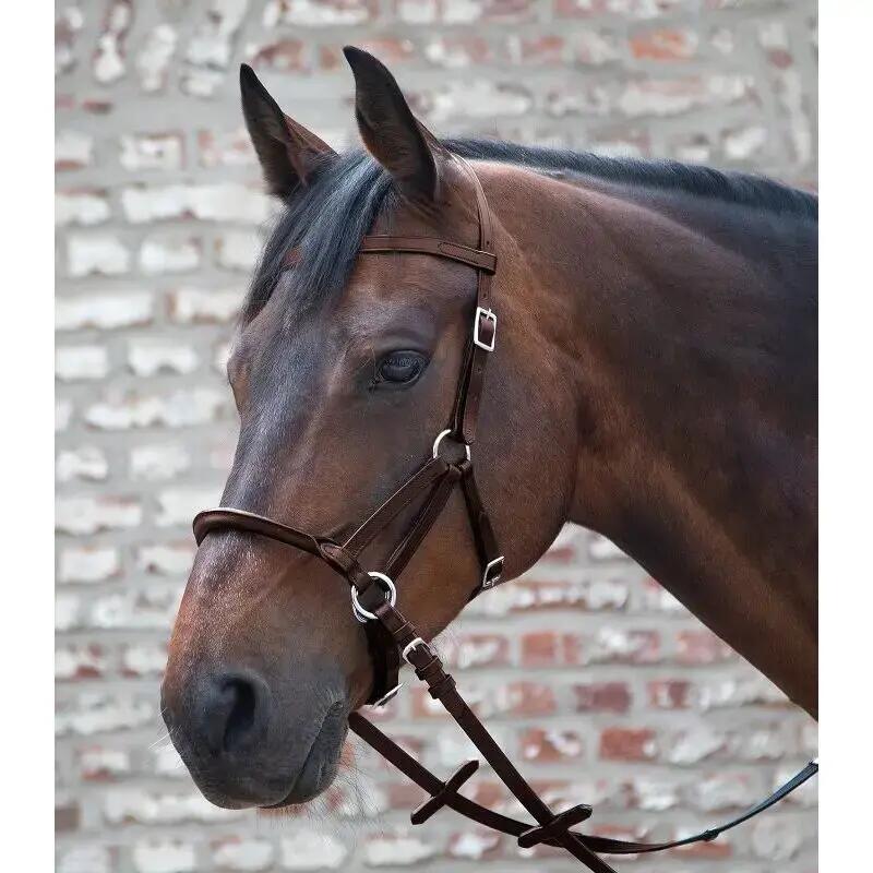 Bitloos hoofdstel voor paarden Tellington Ttouch 2/2
