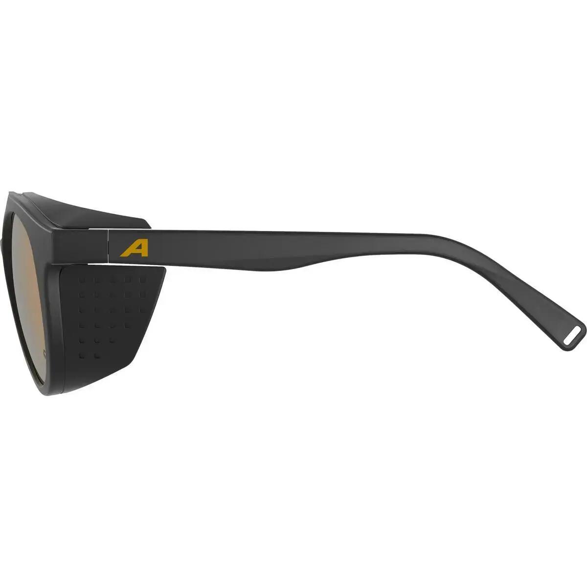 Gafas de sol Alpina Glace P 3/4