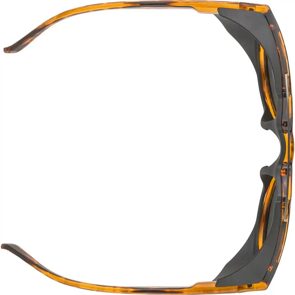 Gafas de sol Alpina Glace P 4/4