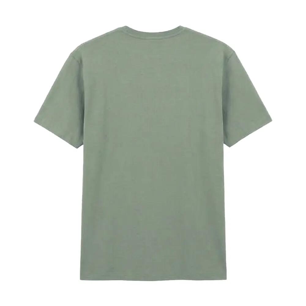 Tshirt Uni Et Léger Manches Courtes Adulte (Vert De Gris Clair) 2/3