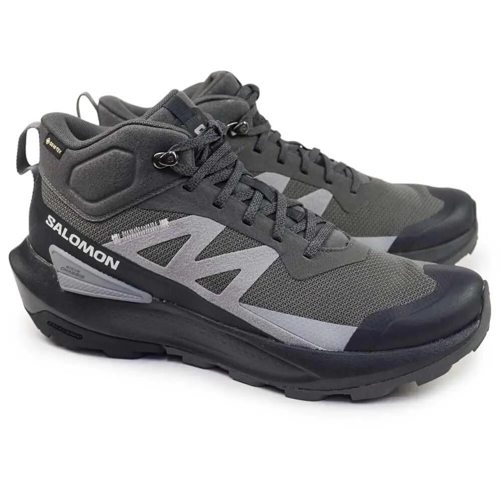 SALOMON picture