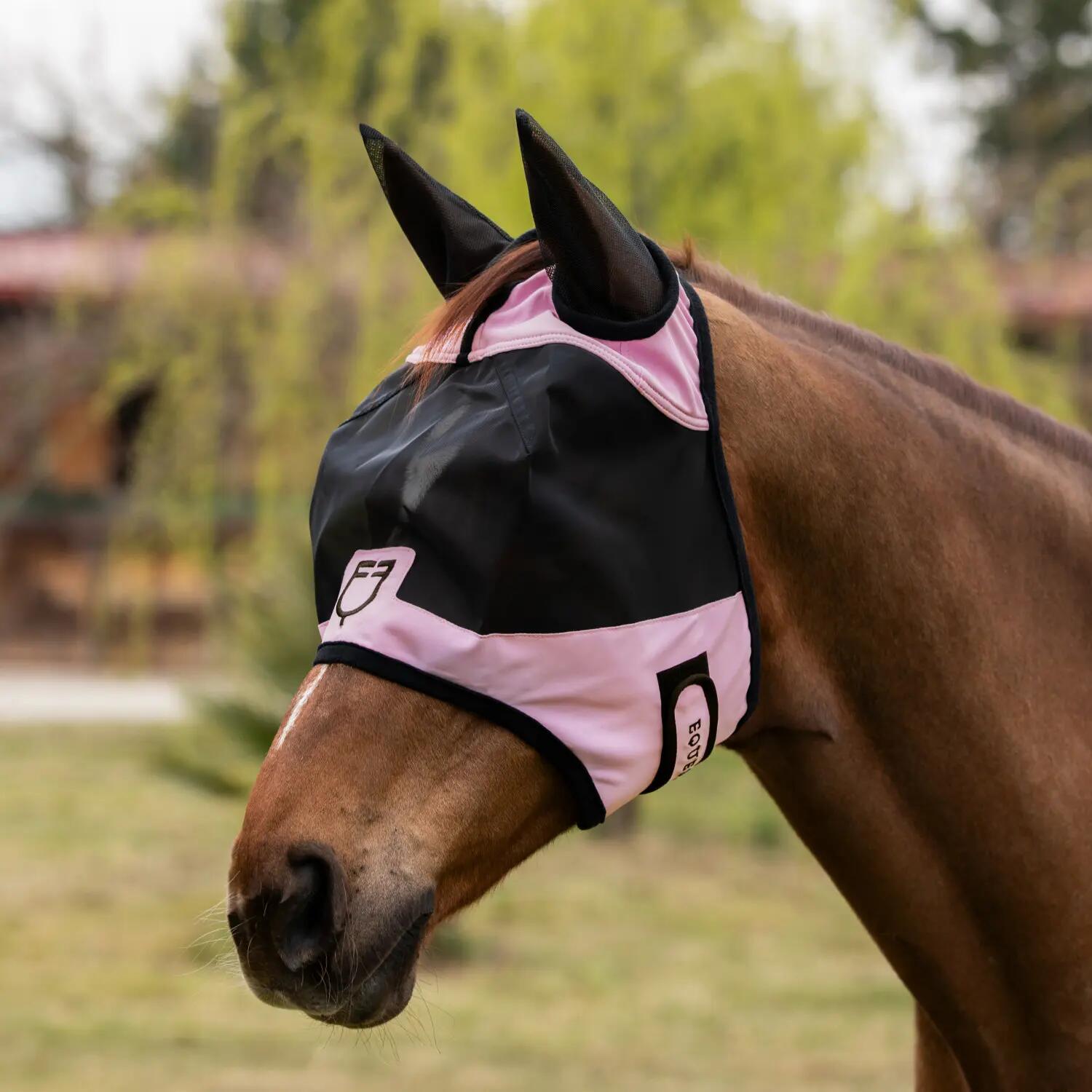 EQUESTRO picture
