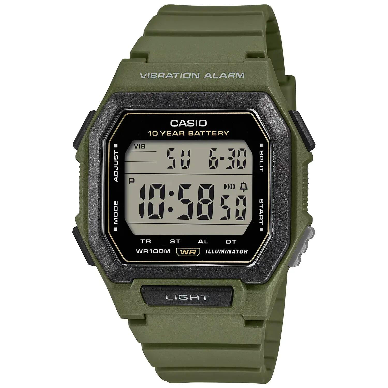 CASIO picture