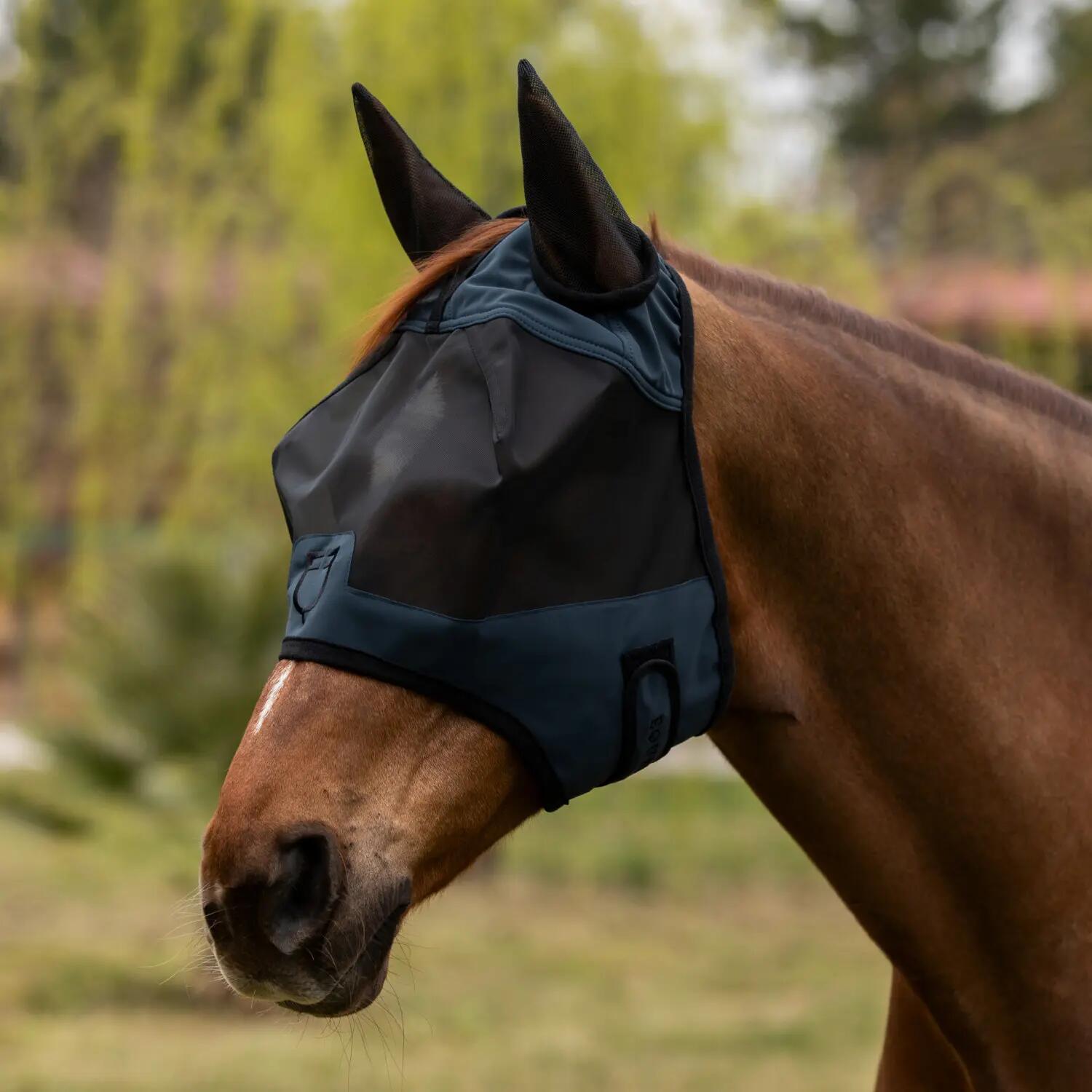 EQUESTRO picture