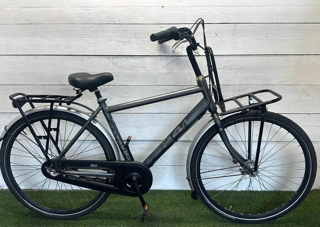 BATAVUS picture